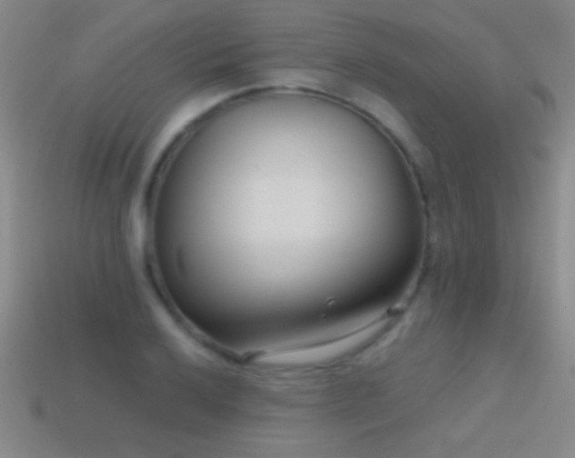X0000114691032200910211308