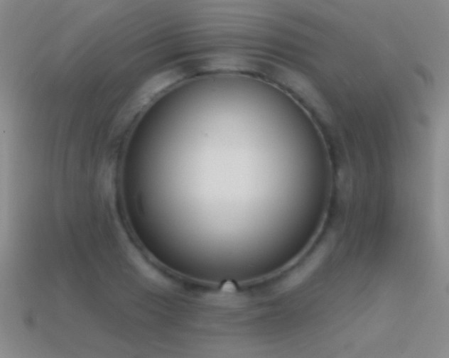 X0000114691033200910211308