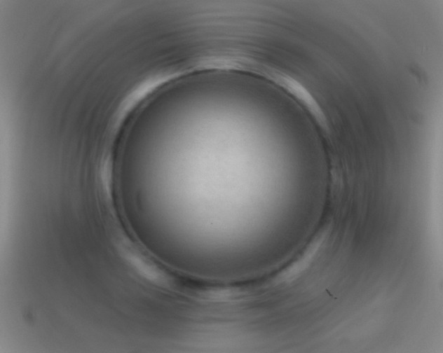 X0000114691035200910211308