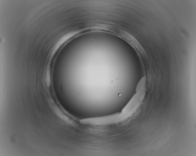 X0000114691036200910211308