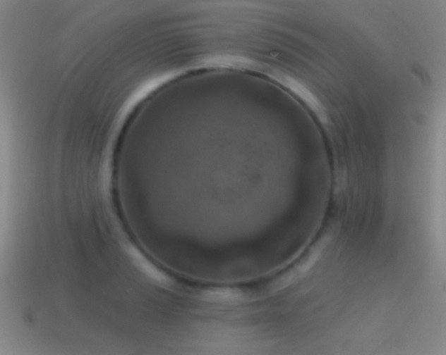X0000114691037200910211308