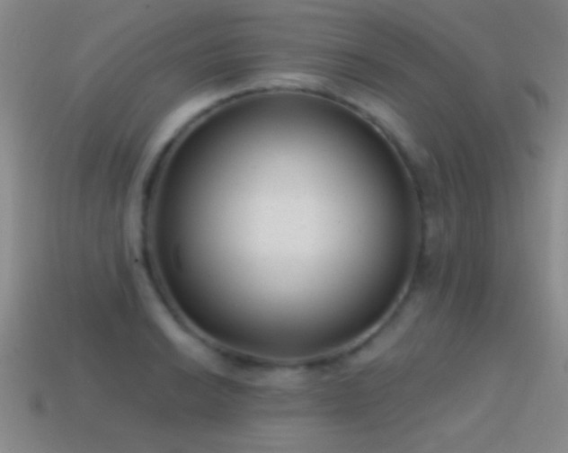 X0000114691038200910211308