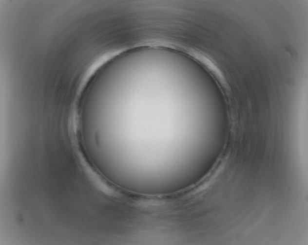 X0000114691040200910211308