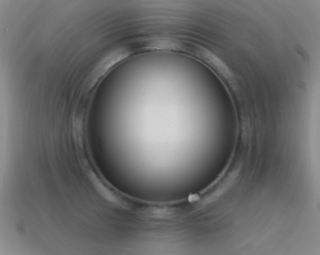 X0000114691041200910211308