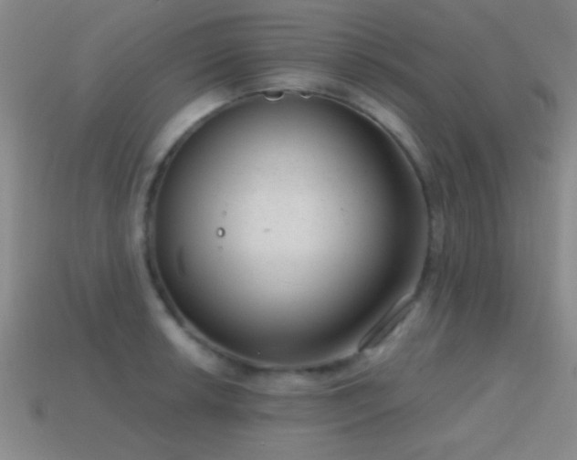 X0000114691042200910211308