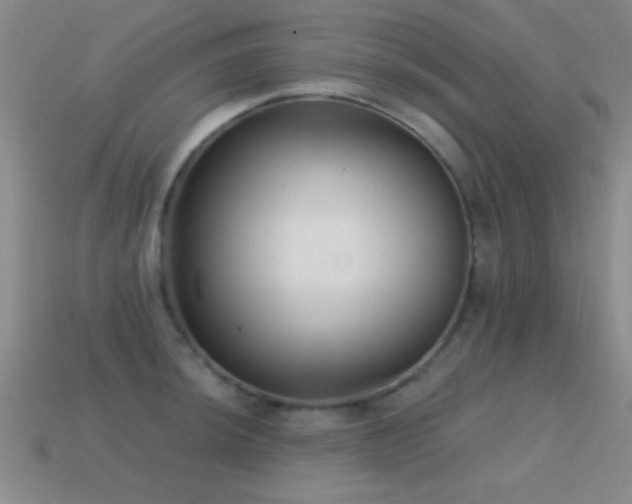 X0000114691044200910211308