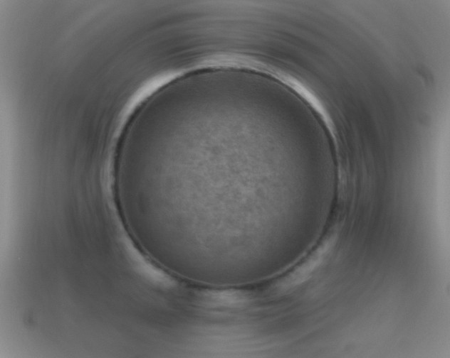 X0000114691045200910211308