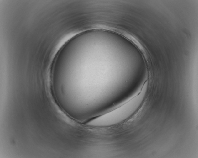X0000114691048200910211308