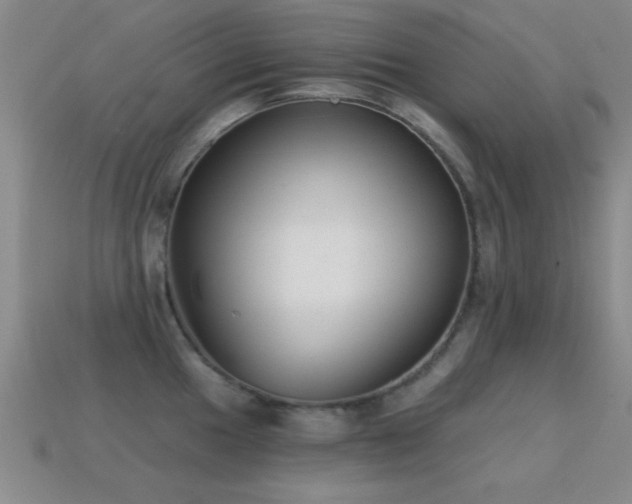 X0000114691049200910211308