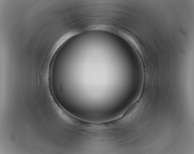 X0000114691050200910211308