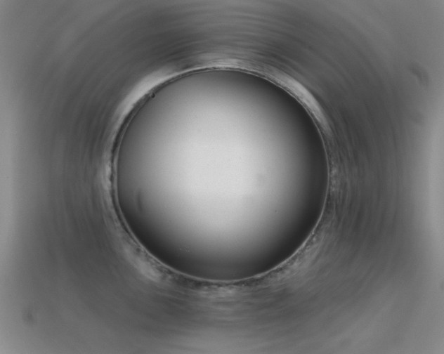 X0000114691051200910211308