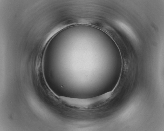 X0000114691052200910211308