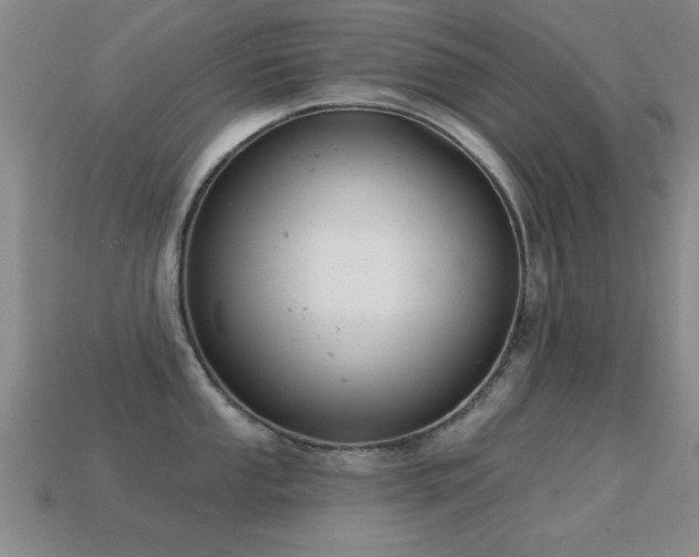 X0000114691053200910211308