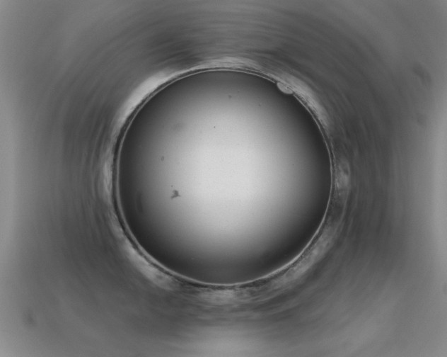 X0000114691054200910211308