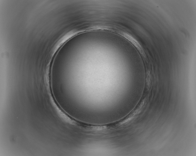 X0000114691055200910211308