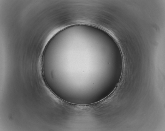 X0000114691056200910211308
