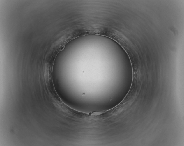X0000114691058200910211308