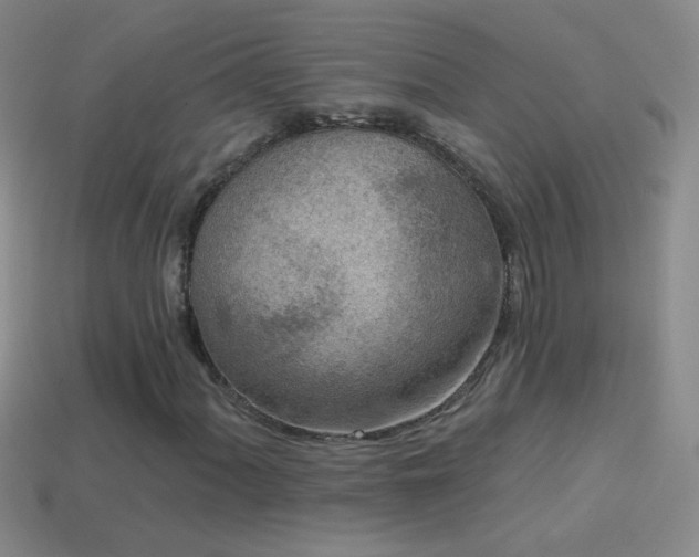 X0000114691060200910211308