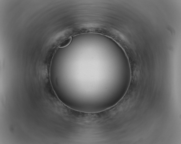 X0000114691062200910211308