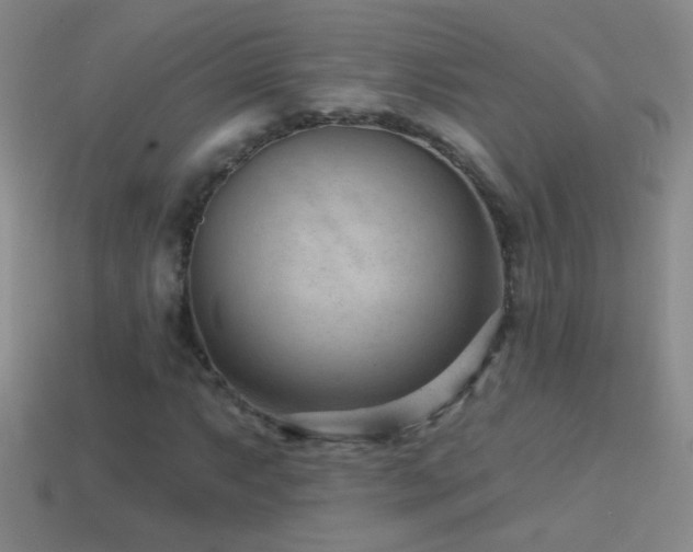 X0000114691063200910211308