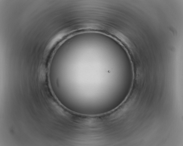 X0000114691067200910211308