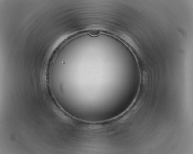 X0000114691068200910211308