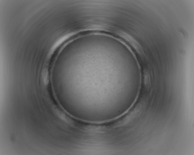 X0000114691069200910211308