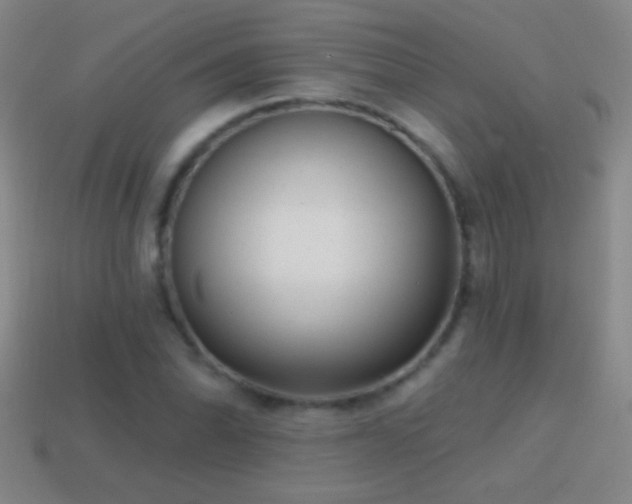 X0000114691070200910211308