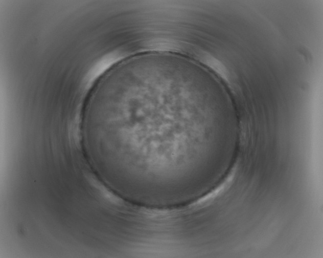 X0000114691071200910211308
