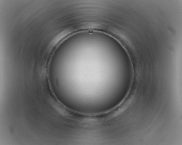 X0000114691073200910211308