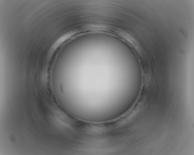 X0000114691074200910211307
