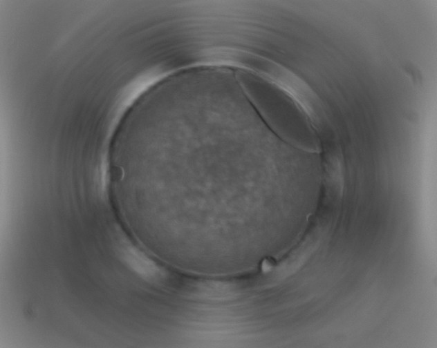 X0000114691076200910211307