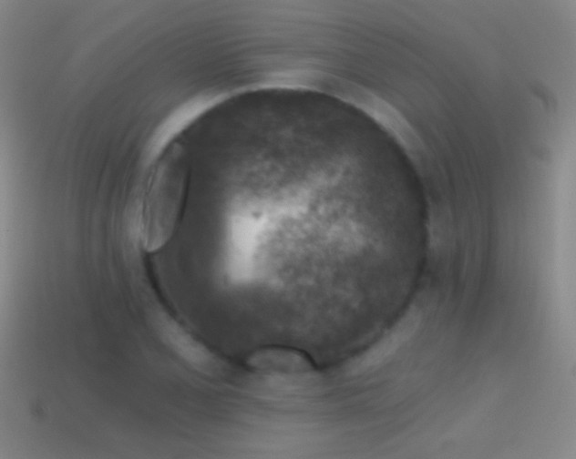 X0000114691077200910211307