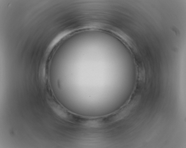X0000114691078200910211307