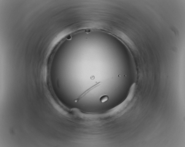 X0000114691079200910211307