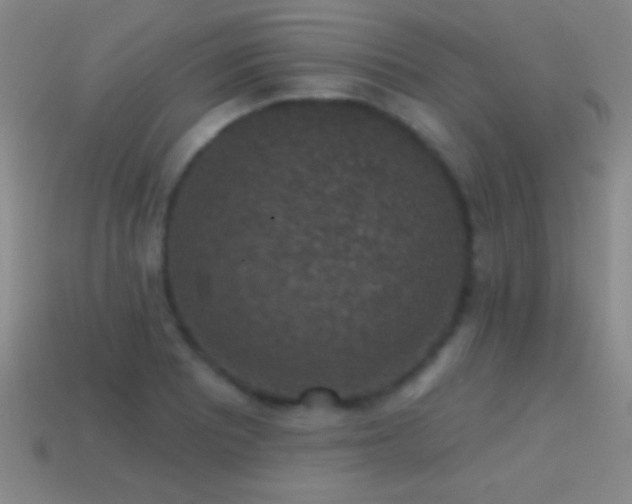 X0000114691081200910211307