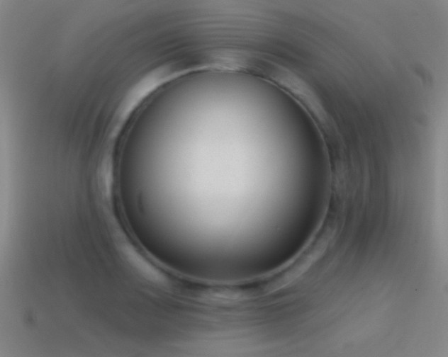 X0000114691083200910211307