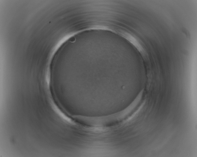 X0000114691084200910211307