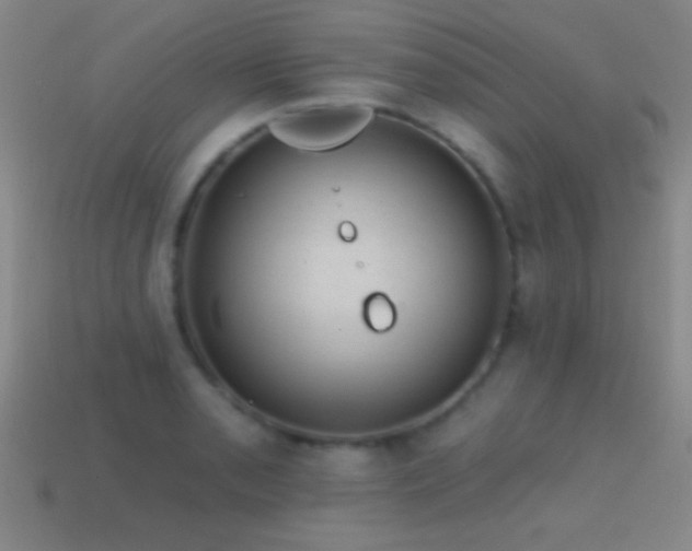 X0000114691085200910211307