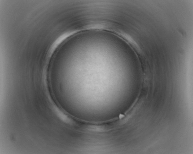 X0000114691086200910211307