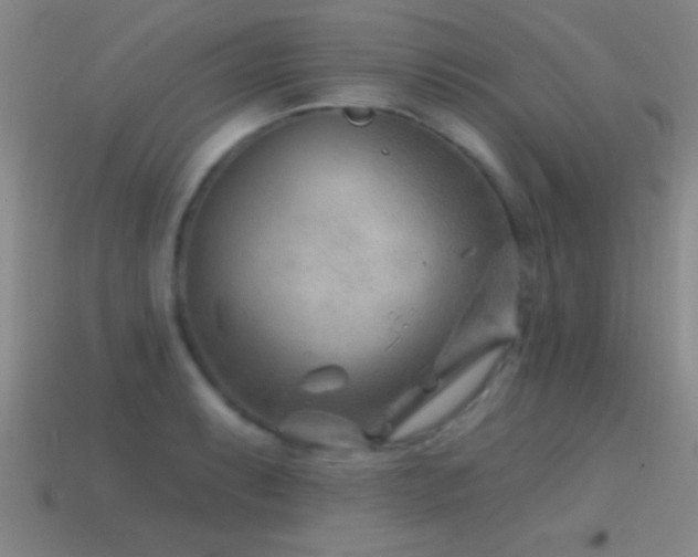X0000114691087200910211307