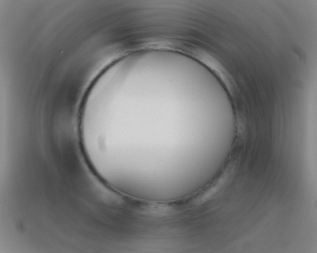 X0000114691090200910211307