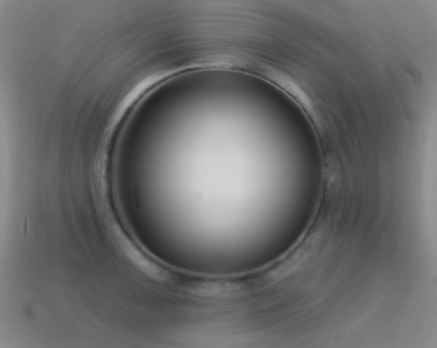 X0000114691091200910211307