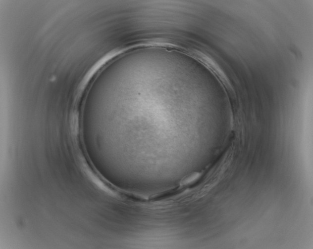 X0000114691092200910211307
