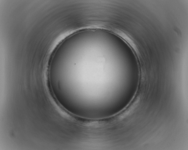 X0000114691093200910211307