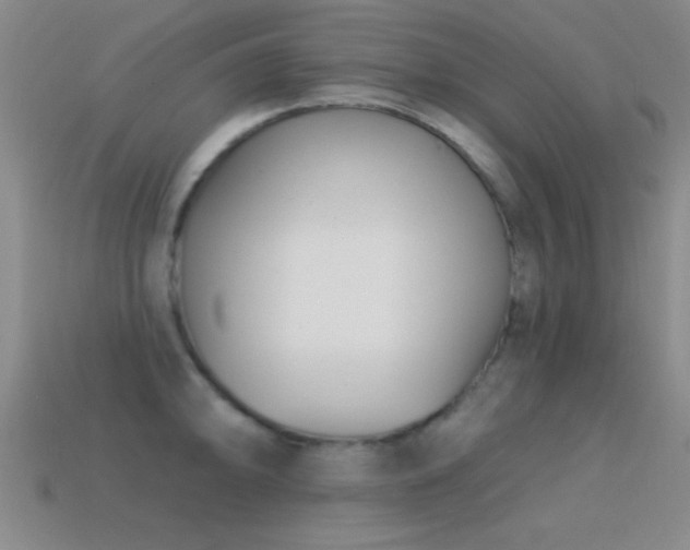 X0000114691094200910211307