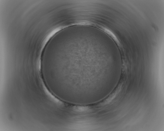 X0000114691095200910211307