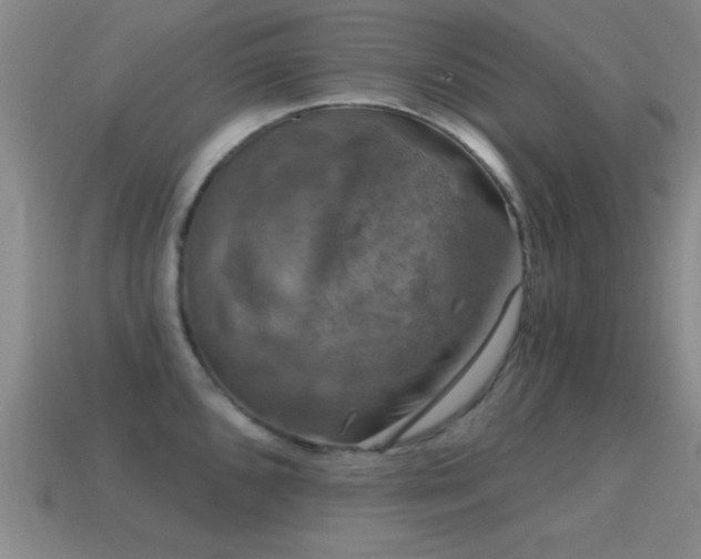 X0000114691096200910211307