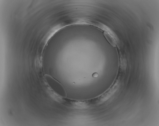 X0000114691097200910211307