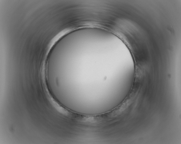X0000114691098200910211307